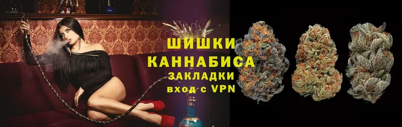 Конопля SATIVA & INDICA  сайты даркнета состав  Камень-на-Оби  omg ссылка 